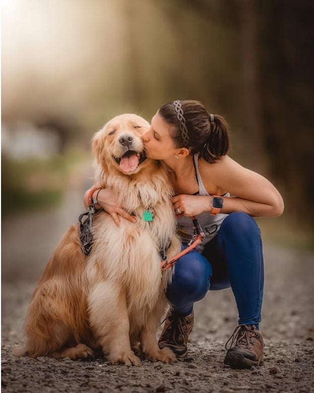 Pets